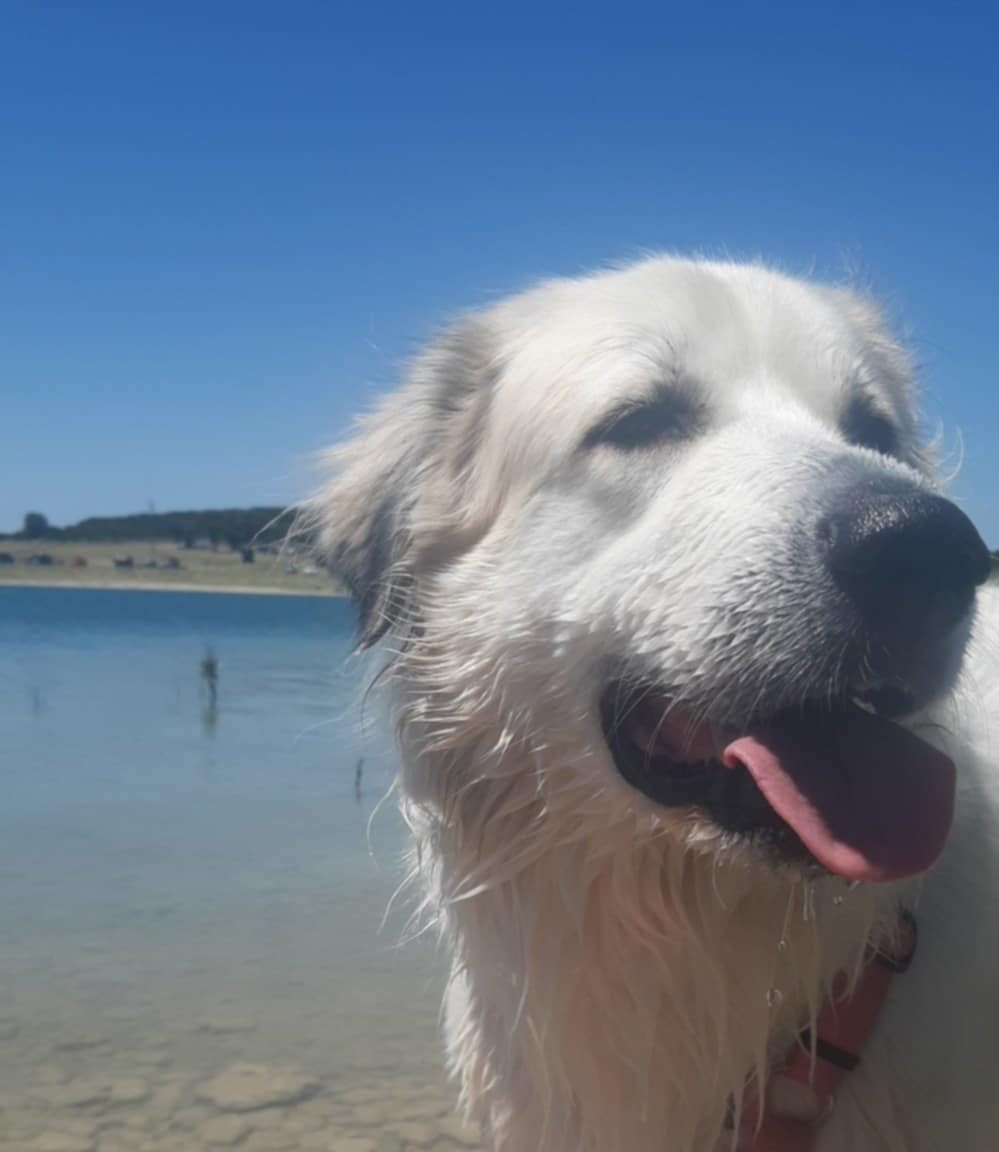 Mia