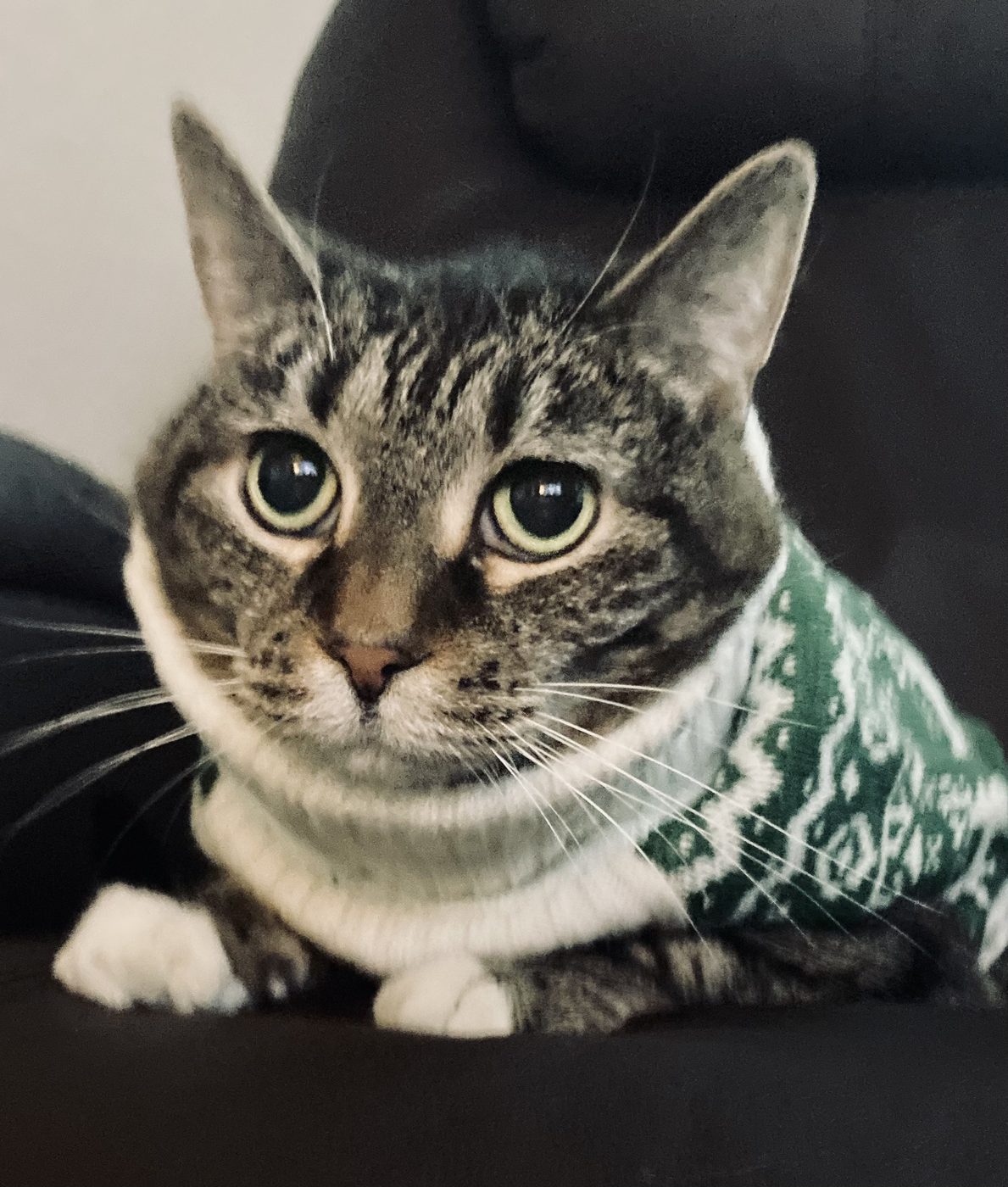 Binx